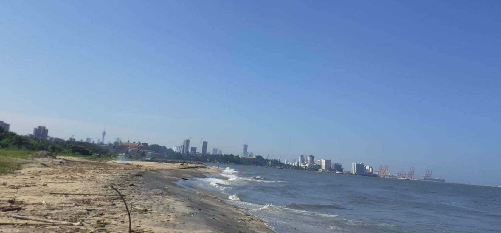 ක්ෂුද්‍ර ප්ලාස්ටික් සාගර පරිසර පද්ධති සහ ආහාර දාමයට තර්ජනයක් වන ආකාරය